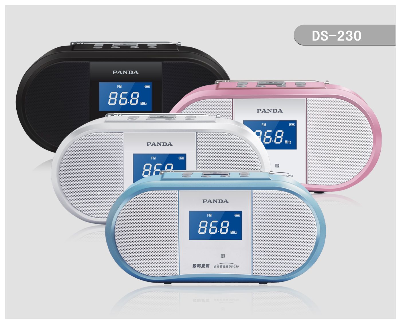 DS-230 MIni Speaker & LCD / FM Radio FM stereo radio